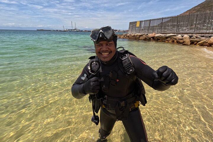 Beginner Scuba Diving Experience in Simonstown.