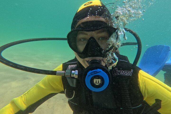 Discover Scuba Diving in Cape Town for Beginners