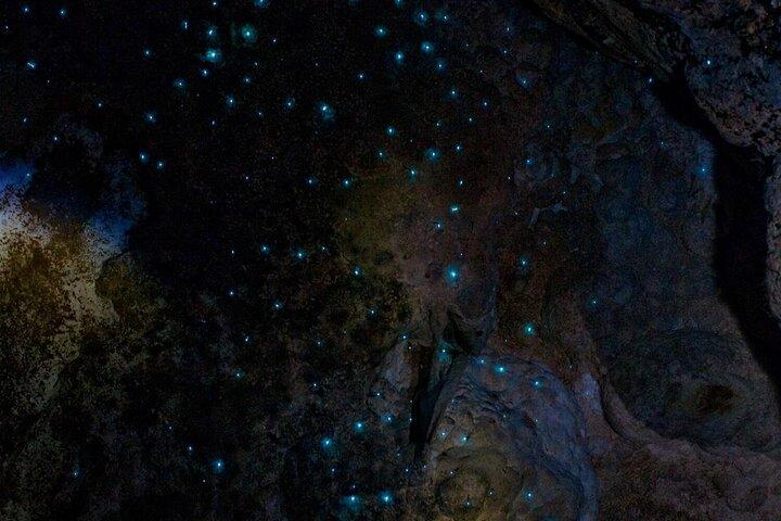 Waiomio Kawiti Glowworm Cave & Ngawha Hot Springs day tour
