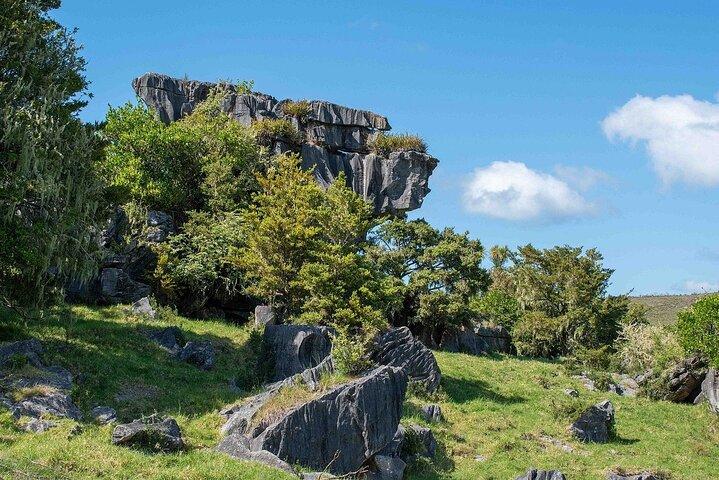 Waiomio Kawiti Glowworm Cave & Ngawha Hot Springs day tour