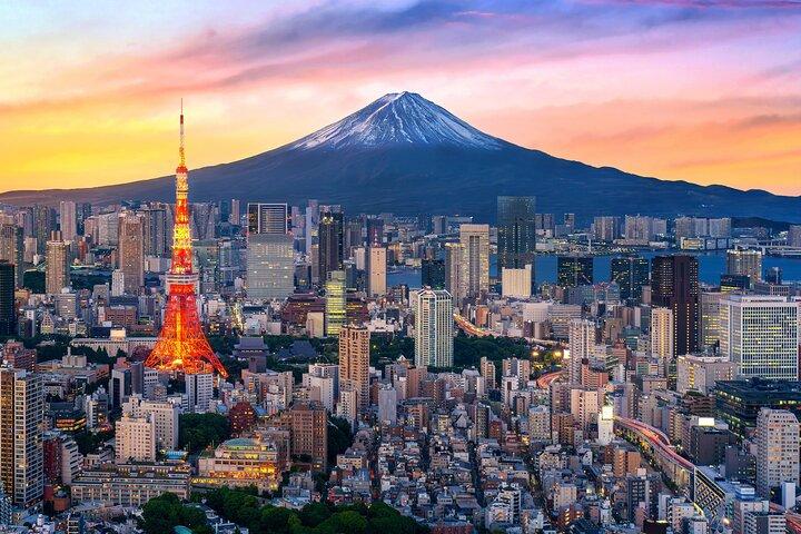 Tokyo Private Sightseeing Tour