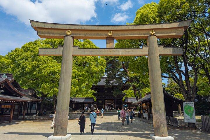 Tokyo Private Sightseeing Tour