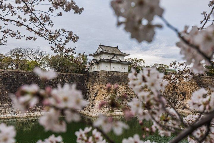 Tokyo Private Sightseeing Tour