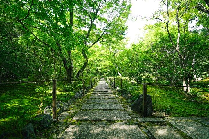 Kyoto Arashiyama Bamboo forest & Hidden Garden Walking Tour