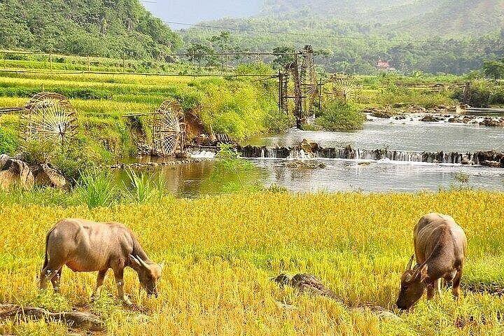 Pu Luong Nature Reserve 2 Day Private Journey from Hanoi