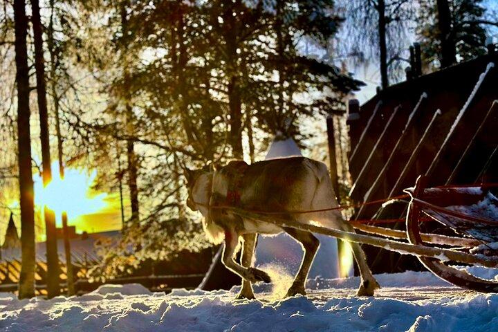 Santa Claus Village with Reindeer & Husky Ride