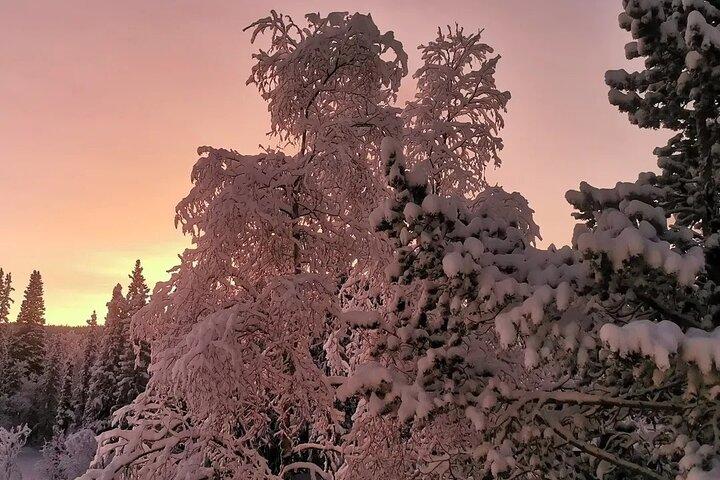 Snowmobile Adventure in Lapland: Guided Tour from Kiruna