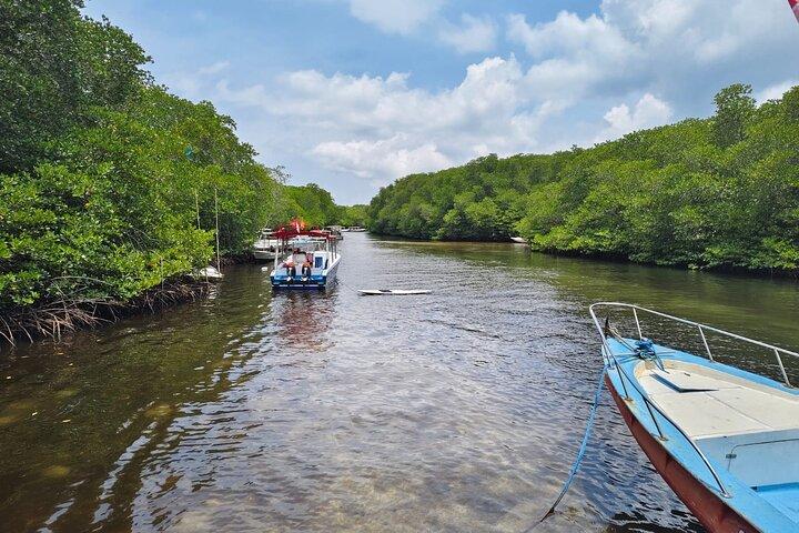From Lembongan: Snorkeling Day Trip to Nusa Lembongan & nusa Penida island