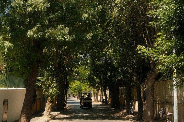 Istanbul Princes' Islands Cycling Tour