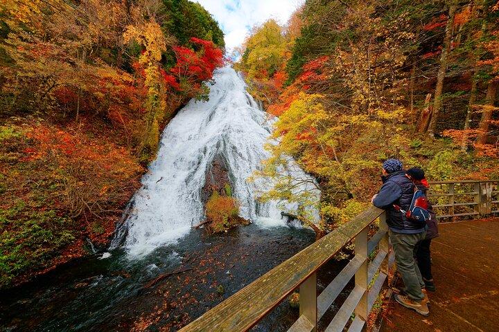 Private Nikko Day Trip from Tokyo Waterfalls, Lakes and Mountains