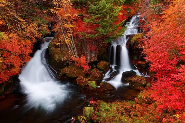 Private Nikko Day Trip from Tokyo Waterfalls, Lakes and Mountains