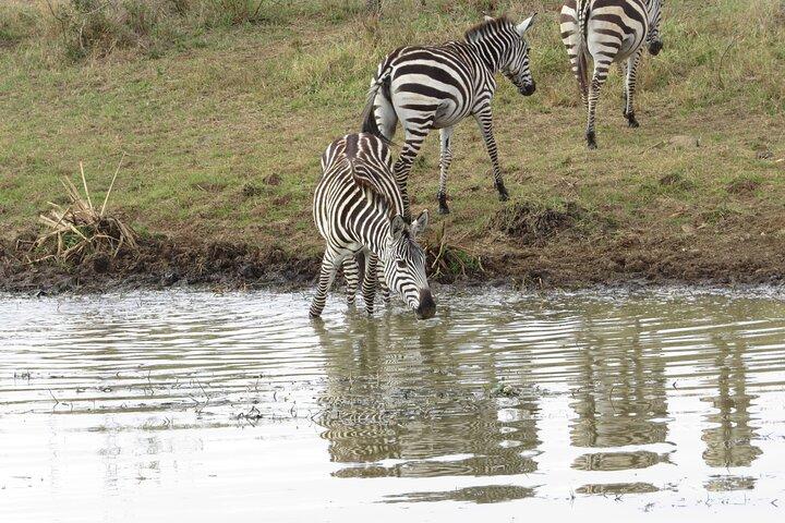 Tsavo National Park Group Tour with Game Drives