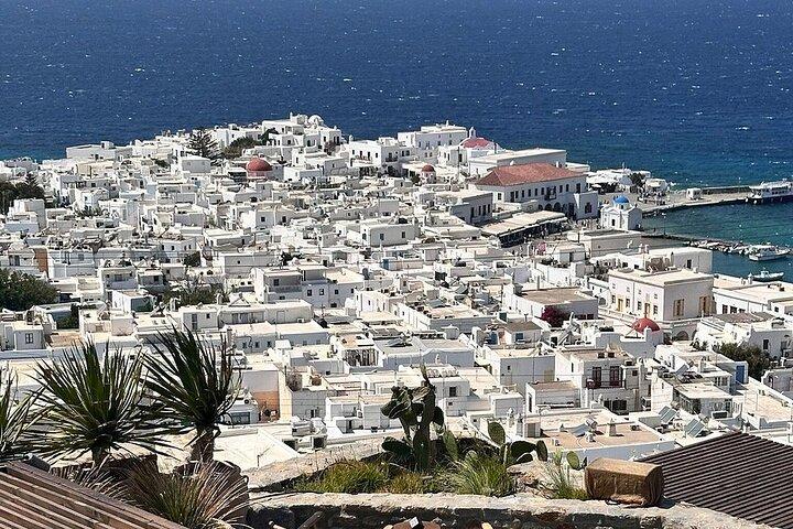 Mykonos Island Tour for Cruise Passengers