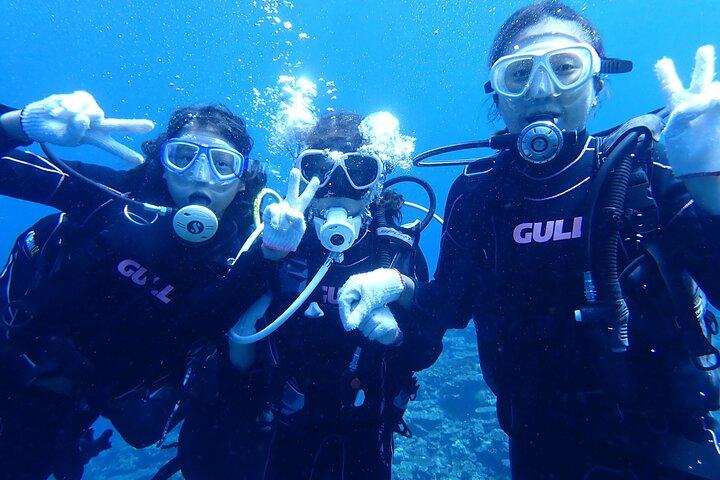 [Half day] Diving and snorkeling on a chartered boat on Ishigaki Island - Beginners are welcome!～
