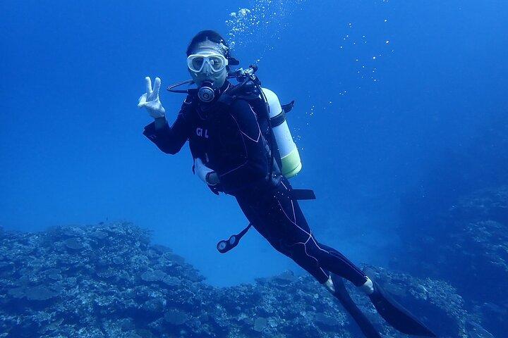 [Half day] Diving and snorkeling on a chartered boat on Ishigaki Island - Beginners are welcome!～