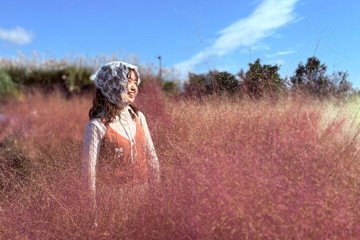 Small Group Tour for Jeju Fall Pink Muhly, Tangerines & Mt. Halla