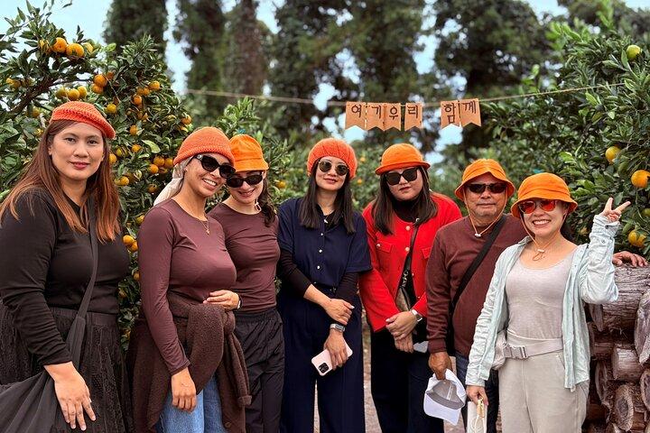 Small Group Tour for Jeju Fall Pink Muhly, Tangerines & Mt. Halla