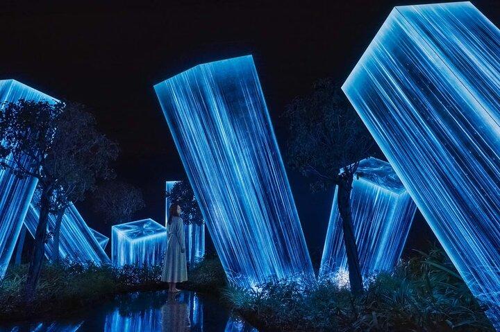 TeamLab Phenomena – Interactive Light, Sound & Motion Wonders