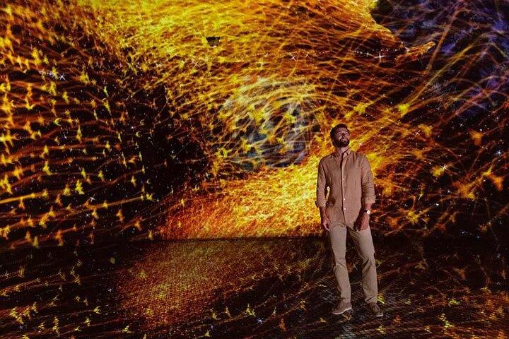 TeamLab Phenomena – Interactive Light, Sound & Motion Wonders