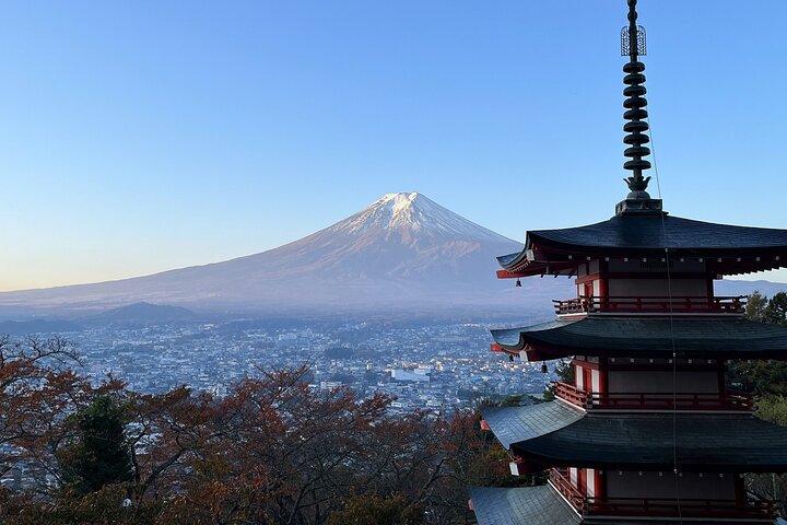Mt. Fuji, Oishi Park & Arakurayama Pagoda Bus Tour with Lunch