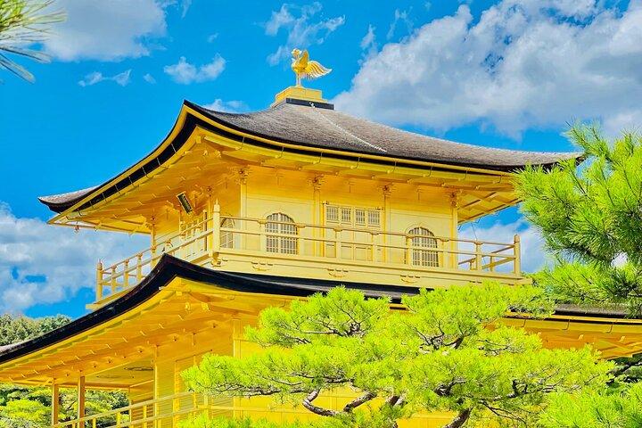 Kyoto and Nara Highlights with English speaking Driver and Guide