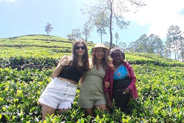 Nuwara Eliya 2 Tea Factory Tea Test &Pick 2 Waterfalls Nature Day