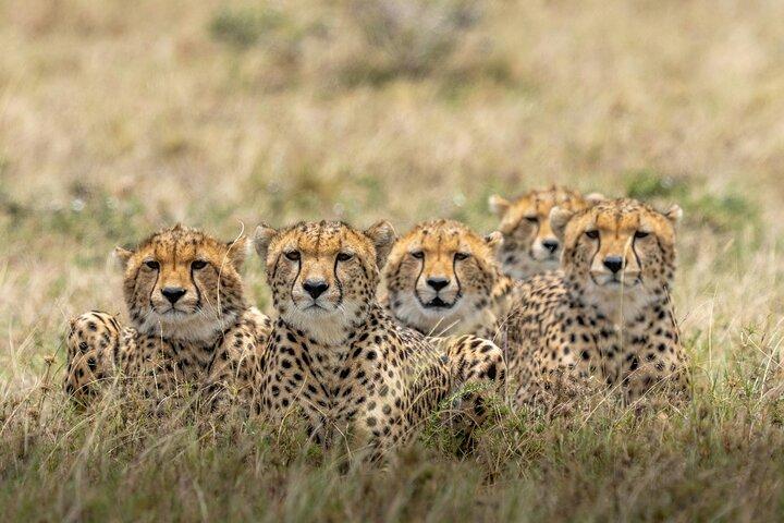7 Days Safaris and National Parks In Kenya
