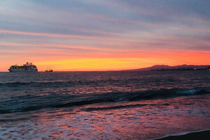 Sea Turtle Conservation Release Puerto Vallarta