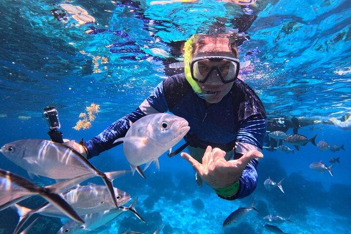 Private Cozumel snorkeling: Palancar, El Cielo & ceviche