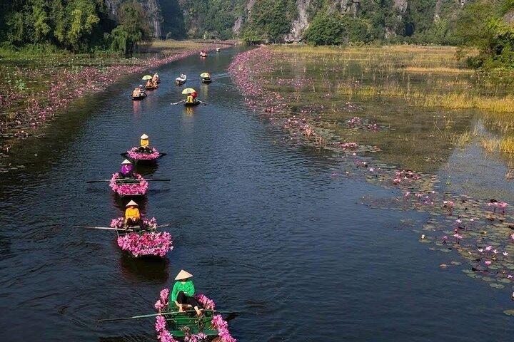 Ninh Binh Tam Coc Tour with Boat Trip - Lunch (Best seller)