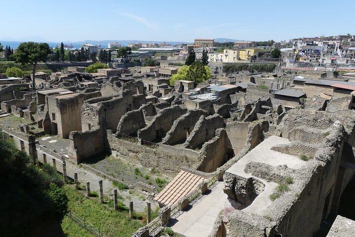 Naples to Pompeii & Mount Vesuvius Skip-the-Line Tour with Tickets