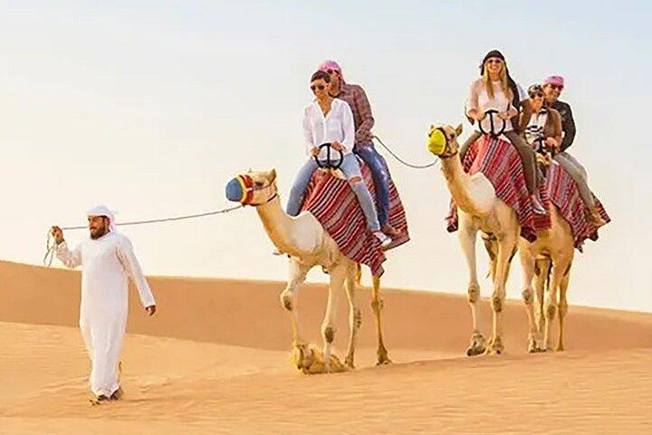 Abu Dhabi Dune Bashing, Sand Surfing, Camel Ride, and BBQ Dinner