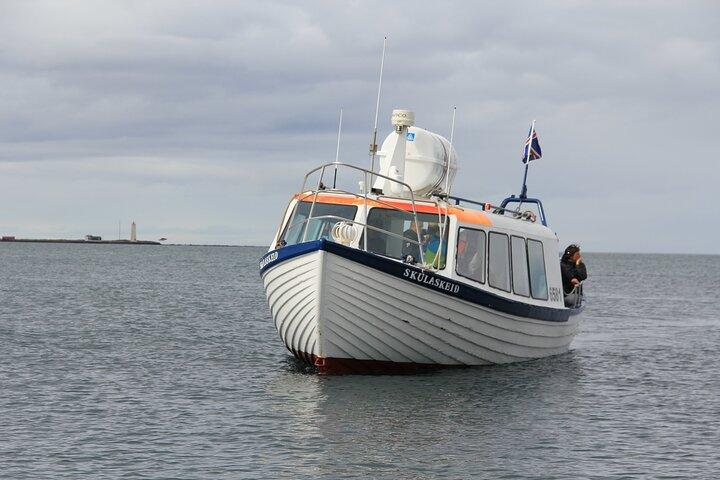 Iceland Super Saver: Puffin Cruise plus Whale-Watching Tour from Reykjavik