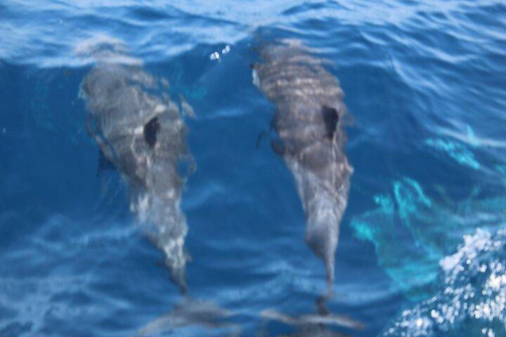 Sal Island Catamaran cruise with All Inclusive Drinks and Snacks