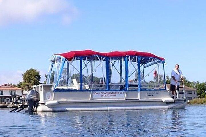 3 Hour Small Group Manatee Swim Heated Boats Free Photos All Inc