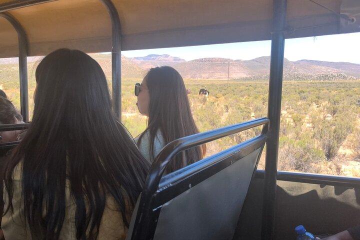 Big 5 Game Reserve Safari Full Day Tour and Lunch