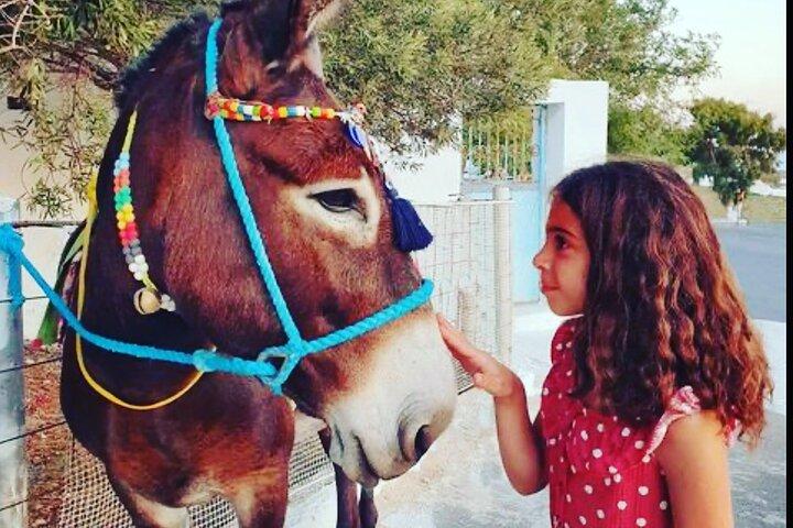 Authentic Pyrgos Village Donkey Ride and Feeding Experience