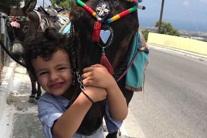 Authentic Pyrgos Village Donkey Ride and Feeding Experience