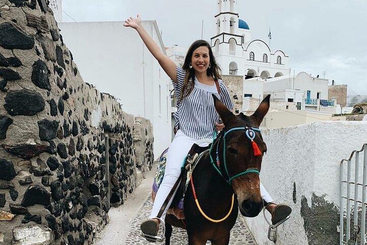 Authentic Pyrgos Village Donkey Ride and Feeding Experience
