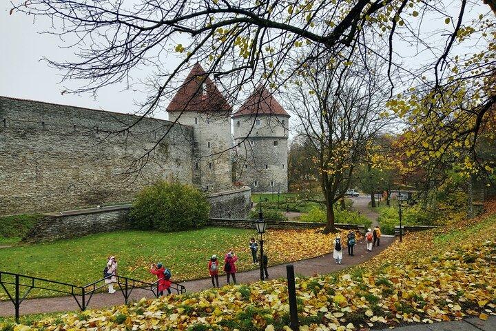 Tallinn Old Town History and Legends Walking Tour