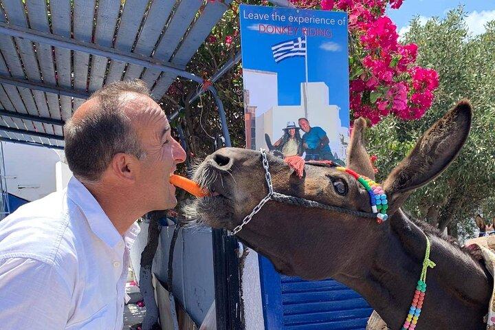 Authentic Pyrgos Village Donkey Ride and Feeding Experience