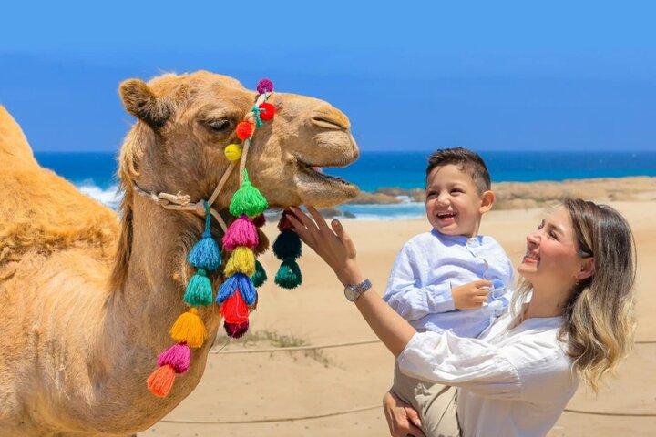 Cabo San Lucas 3-in-1 Combo: Sky Bike, Camels or Horses, and ATV