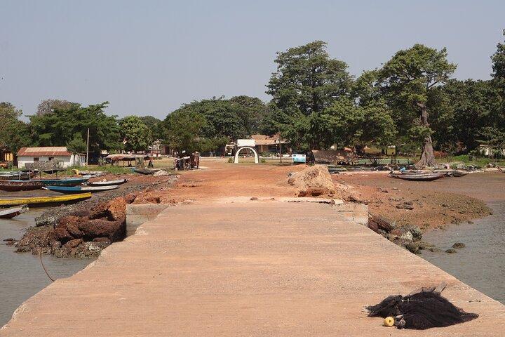 Roots River Cruise Explore Kunta Kinteh Island and Museum