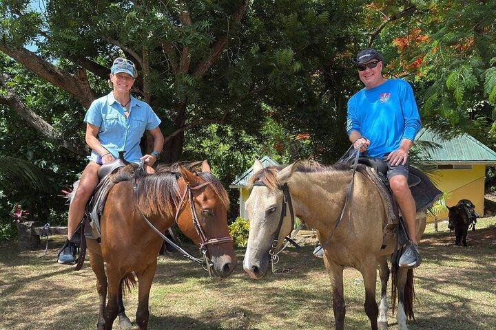 St. Lucia Horseback Riding & Zip Lining Adventure Tour