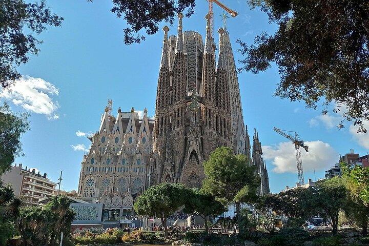 Sagrada Familia & Museo Official Visit