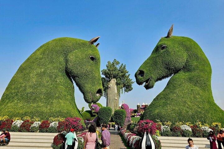 Dubai Combo: Dubai Frame with Miracle Garden Tickets