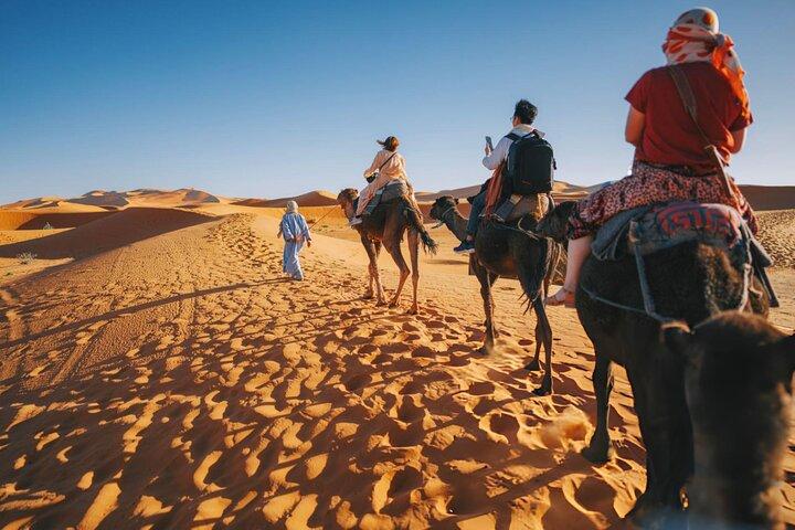 Sunset Camel Ride with Starry Desert Dinner and Fire Show