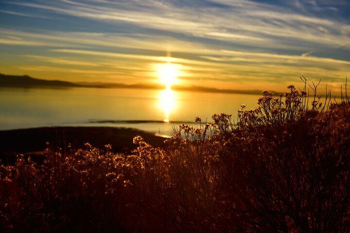Antelope Island Sunset Wildlife Expedition Great Salt Lake Tour