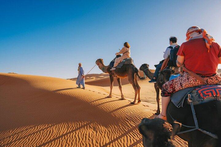 Sunset Camel Ride with Starry Desert Dinner and Fire Show