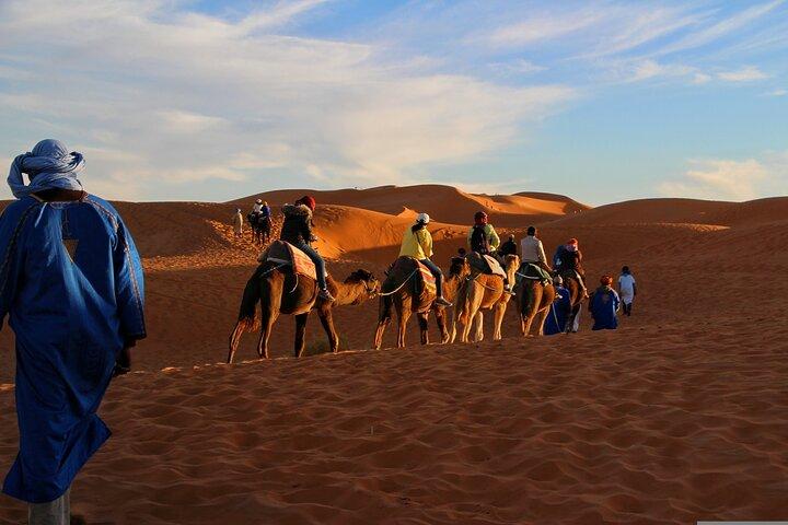 Sunset Camel Ride with Starry Desert Dinner and Fire Show